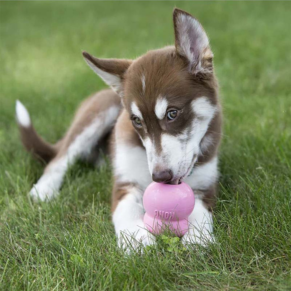 KONG® Easy Treat For Puppies - pasta dla szczeniąt do jedzenia, w sprayu z wątróbką drobiową, 236ml