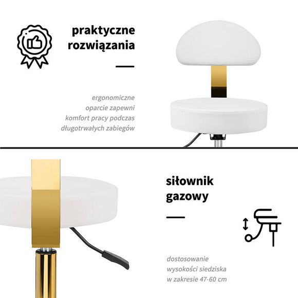 Activ - taboret groomerski AM-304G złoto-biały, z oparciem