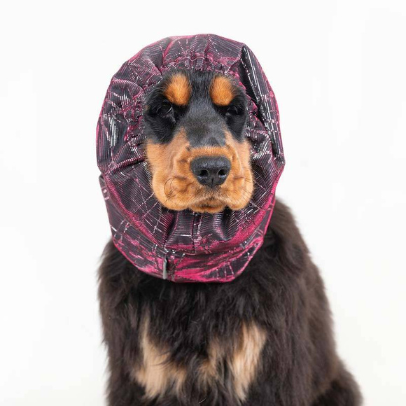 Show Tech Snood Galaxy L Spaniel Pink Ear Covers - stylowy komin ochronny na uszy dla Spanieli, chroni podczas spacerów, posiłków, pielęgnacji, różowy, L