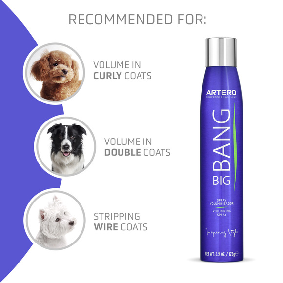 Artero Big Bang Volumizing Spray - preparat zwiększający objętość szaty, 300ml 