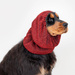 Show Tech Snood Royal Spaniel Red Ear Covers - stylowy komin ochronny na uszy dla Spanieli, chroni podczas spacerów, posiłków, pielęgnacji, czerwony