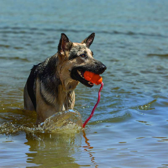 KONG® Aqua - pływająca zabawka do rzucania dla psa