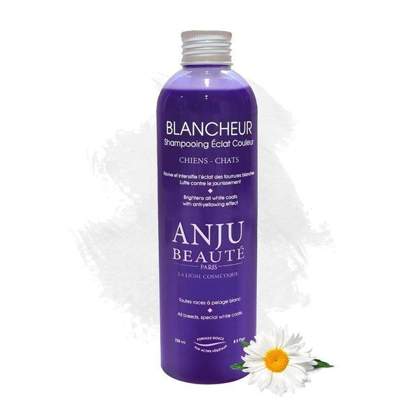 Anju Beaute Blancheur - szampon do białej sierści, dla psów i kotów, 250ml