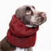 Show Tech Snood Royal Spaniel Red Ear Covers - stylowy komin ochronny na uszy dla Spanieli, chroni podczas spacerów, posiłków, pielęgnacji, czerwony