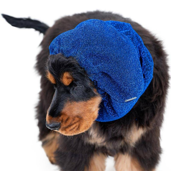 Show Tech Snood Royal Spaniel Blue Ear Covers - stylowy komin ochronny na uszy dla Spanieli, chroni podczas spacerów, posiłków, pielęgnacji, niebieski