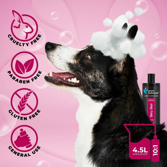 Groom Professional Berry Blast Shampoo - szampon jeżynowo-malinowy do każdego typu sierści, koncentrat 10:1 4l