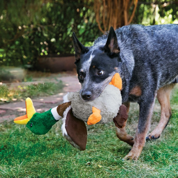 KONG® Shakers™ Honkers Duck - zabawka dla psa z niskotonową piszczałką, kaczka