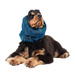 Show Tech Snood Galaxy Spaniel Blue Ear Covers L - stylowy komin ochronny na uszy dla Spanieli, chroni podczas spacerów, posiłków, pielęgnacji, niebieski, L