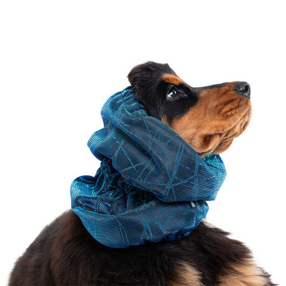 Show Tech Snood Galaxy Spaniel Blue Ear Covers L - stylowy komin ochronny na uszy dla Spanieli, chroni podczas spacerów, posiłków, pielęgnacji, niebieski, L