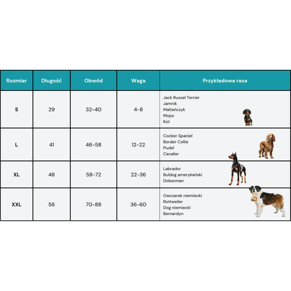 Polisept Vet Care - ubranko pooperacyjne dla psa i kota