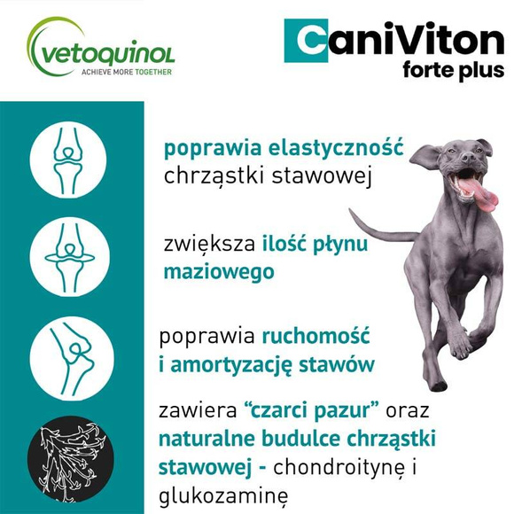 Vetoquinol Caniviton Forte Plus - preparat wspomagający funkcje chrząstki stawowej, dla psów, 30 tabletek