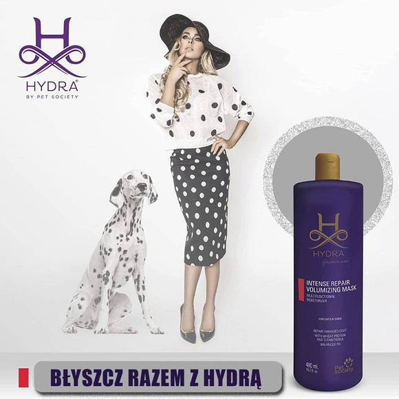 Hydra Professional Intense Repair Volumizing Mask - maska regenerująca, zwiększająca objętość włosa, dla psów i kotów, 480ml