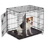 MidWest Life Stages Cage 1624 DD - klatka metalowa dla psa, składana, z dwoma wejściami (62.9 x 45.5 x 49.5 cm)