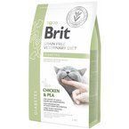 Brit Grain-free Veterinary Diet Diabetes - sucha karma dla kotów leczonych na cukrzycę