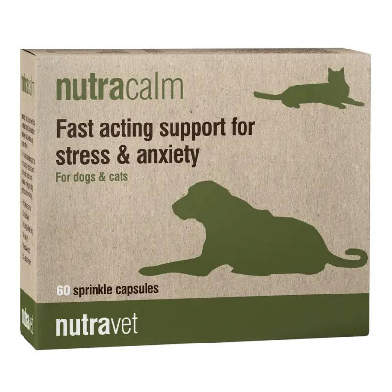 Nutracalm for hotsell dogs amazon