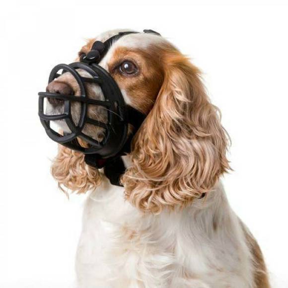 Baskerville Ultra Muzzle - gumowy kaganiec fizjologiczny dla psa