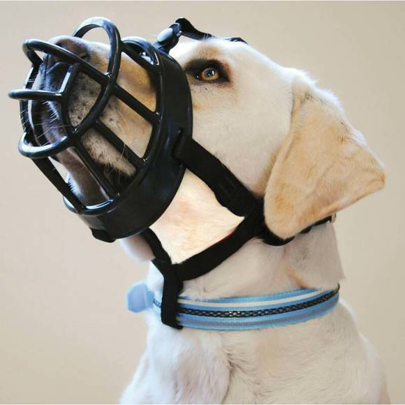Baskerville Ultra Muzzle - gumowy kaganiec fizjologiczny dla psa