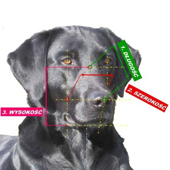 CHOPO - profesjonalny kaganiec fizjologiczny SPORT dla psa, Owczarek niemiecki (suka)