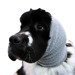 Show Tech Ear Buddy - opaska do suszenia płochliwych psów
